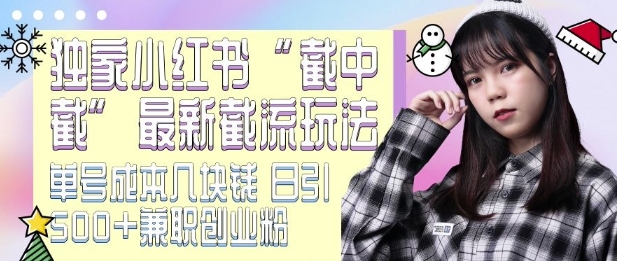 最新小红书截流玩法 独家截中截 单号成本几块钱 日引500+CY粉JZ粉-网赚邦---一站式项目拆解教学