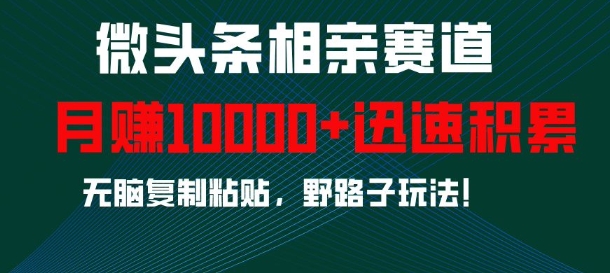 微头条相亲赛道，迅速积累，无脑复制粘贴，野路子玩法，月入1w-网赚邦---一站式项目拆解教学