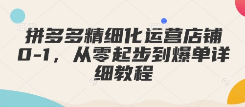 拼多多精细化运营店铺0-1，从零起步到爆单详细教程-网赚邦---一站式项目拆解教学