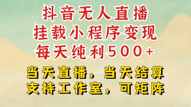 抖音无人直播挂载小程序变现每天纯利500+当天直播，当天结算支持工作室，可矩阵【揭秘】-网赚邦---一站式项目拆解教学