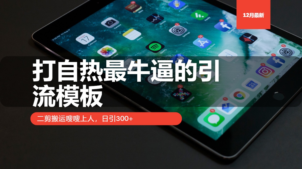 打自热最牛逼的引流模板，二剪搬运嗖嗖上人，日引300+-网赚邦---一站式项目拆解教学