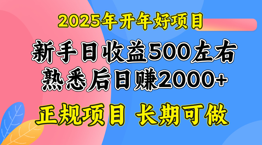 2025开年好项目，单号日收益2000左右-网赚邦---一站式项目拆解教学