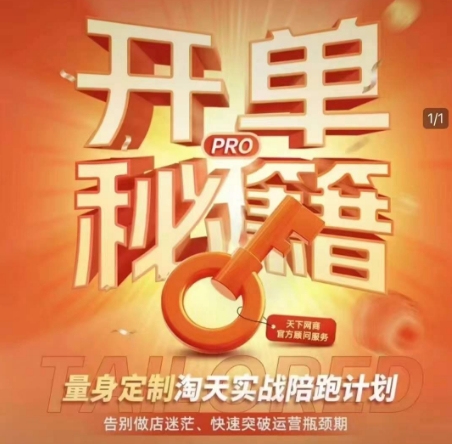 淘宝开单秘籍PRO，量身定制淘天实战陪跑计划，告别做店迷茫、快速突破运营瓶颈期-网赚邦---一站式项目拆解教学