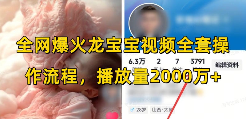 全网爆火龙宝宝视频全套操作流程，播放量2000万+-网赚邦---一站式项目拆解教学