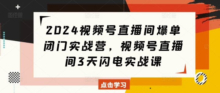 2024视频号直播间爆单闭门实战营，视频号直播间3天闪电实战课-网赚邦---一站式项目拆解教学