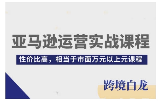 亚马逊运营实战课程，亚马逊从入门到精通，性价比高，相当于市面万元以上元课程-网赚邦---一站式项目拆解教学