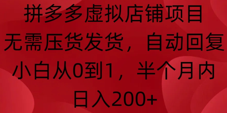 拼多多虚拟店铺项目，无需压货发货，自动回复，小白从0到1，半个月内日入200+【揭秘】-网赚邦---一站式项目拆解教学