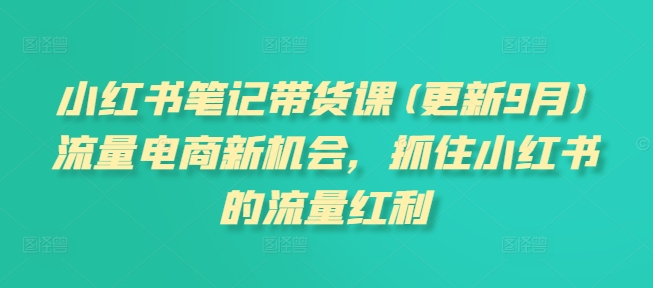 小红书笔记带货课(更新25年1月)流量电商新机会，抓住小红书的流量红利-网赚邦---一站式项目拆解教学