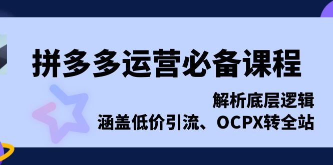 拼多多运营必备课程，解析底层逻辑，涵盖低价引流、OCPX转全站-网赚邦---一站式项目拆解教学
