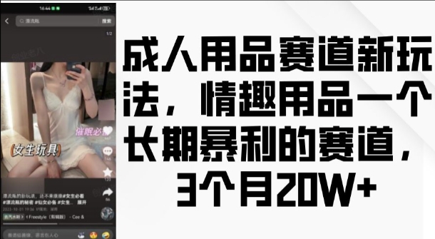 成人用品赛道新玩法，情趣用品一个长期暴利的赛道，3个月收益20个【揭秘】-网赚邦---一站式项目拆解教学