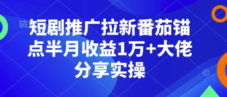 短剧推广拉新番茄锚点半月收益1万+大佬分享实操-网赚邦---一站式项目拆解教学