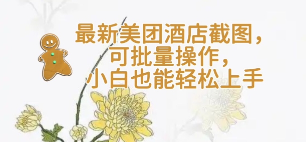 【轻云】最新美团酒店截图，可批量操作，小白也能轻松上手-网赚邦---一站式项目拆解教学